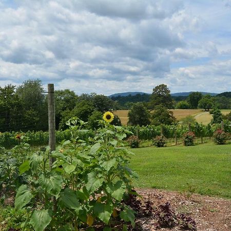 Woodville Bed And Breakfast Esmont 外观 照片